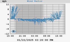 Wind Vector